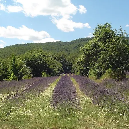 Villa Agridomus Il Mulino *