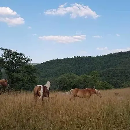 Agridomus Il Mulino