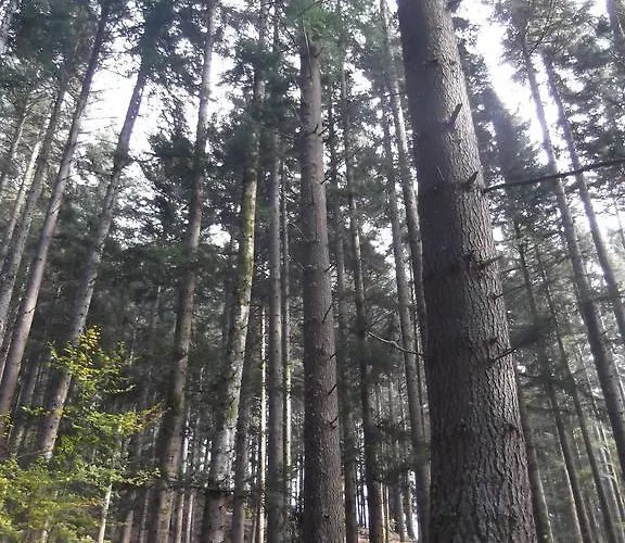 Agridomus Il Mulino *