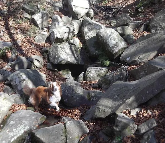 Villa Agridomus Il Mulino *