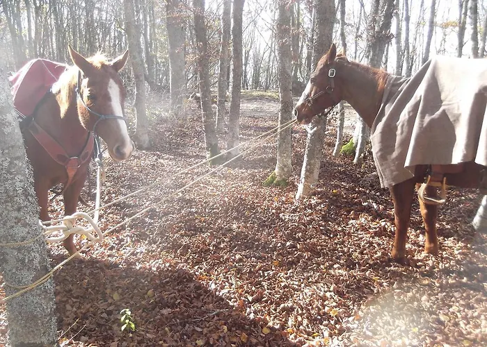 Agridomus Il Mulino Villa *