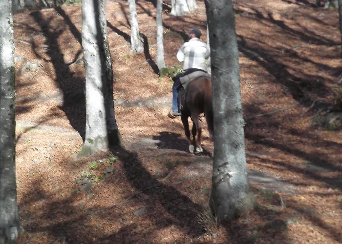 Agridomus Il Mulino * Palazzo del Pero