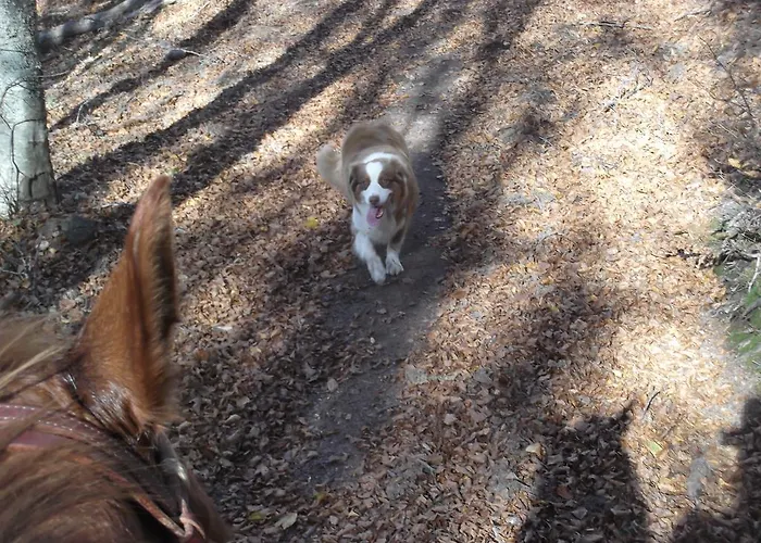 Agridomus Il Mulino Palazzo del Pero