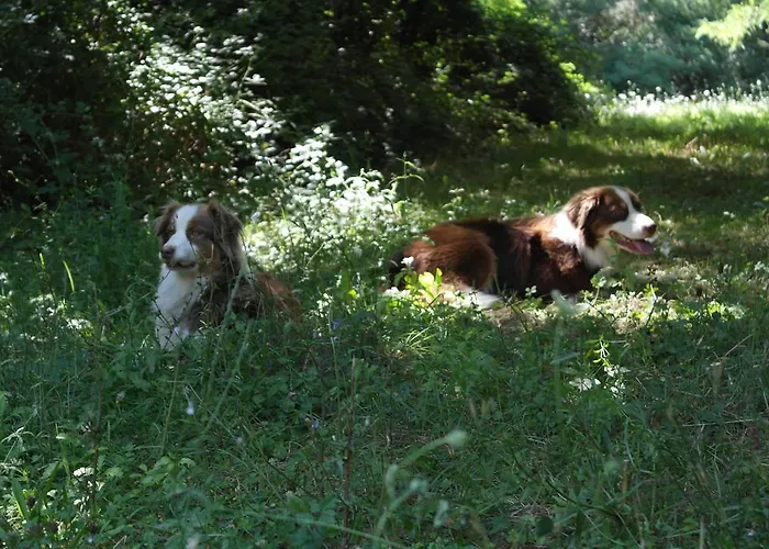 Villa Agridomus Il Mulino Palazzo del Pero