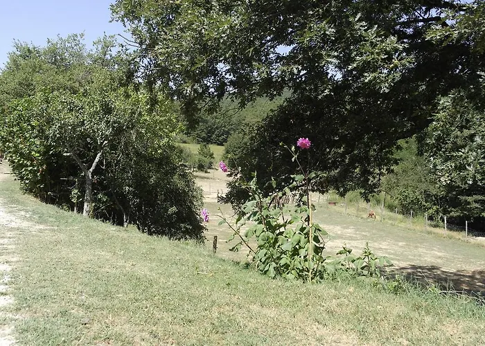 Agridomus Il Mulino